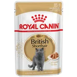 Royal Canin Breed mokra mačja hrana po posebni ceni! - British Shorthair Adult v omaki