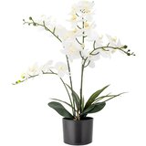 Bloomingville Umetna rastlina (višina 84 cm) Orchid – | Shoptok.si