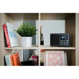 Pure Cista klasika H4i Crno-Crni Jasen | shoptok.hr