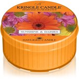 Kringle Candle Sunshine & Daisies čajna sveča 42 g Cene