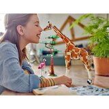 Lego Creator 3in1: Živali na divjem safariju | Shoptok.si