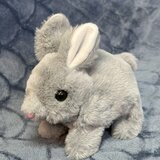 Plišana igračka za maženje Zeko 18cm | shoptok.hr