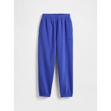 GAP Children's Sweatpants Baggy VintageSoft - Boys | Shoptok.si