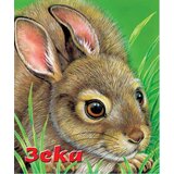 Vulkan Izdavaštvo Tvrde slikovnice - Zeka | Eponuda.com