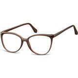 Berkeley Naočare CP116C | ePonuda.com