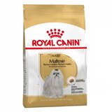 Royal Canin maltese adult - 500 g | Eponuda.com