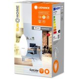 Ledvance led prigušiva antibakterijska sijalica B40 E14/4,9W/230V wi-fi | Eponuda.com