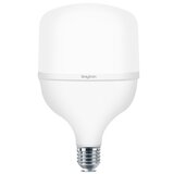 Braytron LED SIJALICA E27 T100 30W NW 4000K PRIRODNO BELA Cene
