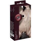 Fetish Collection Harness with Clamps 0527513 | Shoptok.si