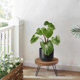JNUYISW leseno stojalo za rastline z 3 kovinskimi nogami | Shoptok.si