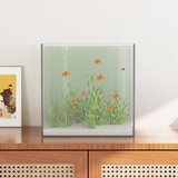  Akvarij s pohranom *Transparent*an 30 x 30 x 30 cm Stakl | shoptok.hr