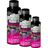 Arka iodide & bromide - 118 ml Cene