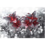  Tapeta - Shadow of Passion 200x140 | shoptok.hr