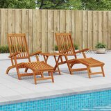  Zložljiv in nagibni ležalnik 2 pcs 55 x 146 x 91 cm, (5000269167) | Shoptok.si