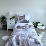 Jerry Fabrics Bela/siva enojna bombažna otroška posteljnina 140x200 cm Kitten "Grey" – | Shoptok.si