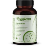 REGALENA suplement za pse strong bone ca-mg-p tablete 60/1 Cene