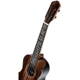 AUDIO KONDRIC Ukulele Ortega RUET-EB+Torba - - Audio-Kondric | Shoptok.si