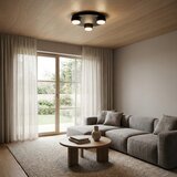 Brilagi LED RGB plafonsko svetlo MONO sa prigušiva 3xGX53/14W/230V Wi-Fi Tuya, prečnik 30 cm, crno | Eponuda.com