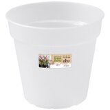 ELHO Cvetlični lonec za orhideje Elho Basics (17 cm) Cene