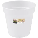 Cvetlični lonec za orhideje Elho Basics (17 cm)
