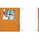 Blok KOLEGIJ A4 CRTE 80L PERFORACIJA PLUS 4RUPE ACTIVEBOOK OXFORD 100102994 | shoptok.hr