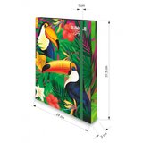  Fascikla sa gumom a4 3d box jungle op* ( 66883 ) Cene