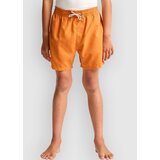 Billabong All Day Kids Boardshorts clay orange Cene
