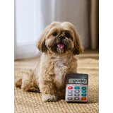 Sinsay Igračka za pse | shoptok.hr