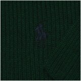 Polo Ralph Lauren 710761417011 Zelena | shoptok.hr