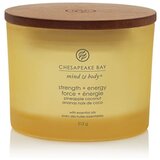 Chesapeake Bay Candle Mind & Body Strength & Energy mirisna svijeća I. 312 g Cijene