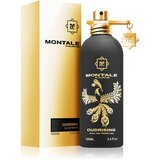 Montale Oudrising parfumska voda 100 ml unisex | Shoptok.si