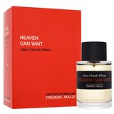 Frederic Malle Heaven Can Wait 100 ml parfumska voda unisex Cene