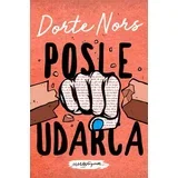 Dorte Nors - Posle udarca
