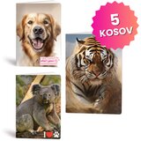 Rucksack Only Zvezek A4 Animals Cute, mali karo 5 mm, 52 listov, sortirano, 5 kosov | Shoptok.si