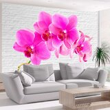  Tapeta - Pink excitation 200x140 Cijene