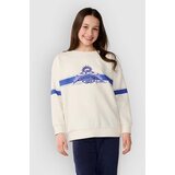 Rip Curl Archive Dolphin Crew Kids Pulover bone u