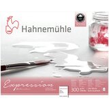  Hahnemühle Expression akvarel papir | Various Sizes | Eponuda.ba