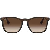 Ray-ban Sončna očala CHRIS 0RB4187 856/13 Kostanjeva | Shoptok.si