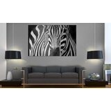  Slika - Mrs. Zebra 60x40 | shoptok.hr
