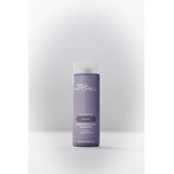Paul Mitchell Blonde Forever Blonde Shampoo ljubičasti šampon za posvijetljenu, hladno plavu kosu s pramenovima 300 ml | shoptok.hr