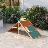  Rampa za pse Agility sklopiva podesiva visina protuklizna od jelovine do 40 kg 173 x 59 x 66 cm narančasta/zelena | shoptok.hr