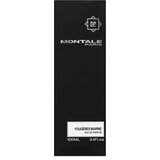 Montale Fougeres Marines parfumirana voda unisex 100 ml | Shoptok.si