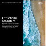 Xerox 106R01374 crni toner velikog kapacitet, Phaser 3250 | shoptok.hr