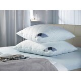 Billerbeck VZGLAVNIK Classic Clean 60/80 cm | Shoptok.si
