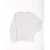 Fashion Hunters Light gray basic hooded sweatshirt for young people | Shoptok.si