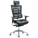 BEMONDI Ergonomic office chair ERGO 800 black BEMONDI Ergonomic office chair ERGO 800 black Slike