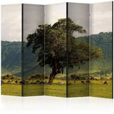  Paravan u 5 dijelova - In a crater of Ngoro ngoro II [Room Dividers] 225x172 | shoptok.hr