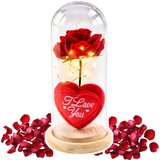 Eternal Rose in Dome with LED Lighting Red with Heart 18.5x8cm | Shoptok.si