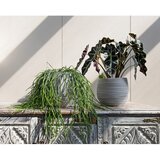 Artevasi Keramička ručno rađena tegla za cvijeće ø 16 cm Dóris – | shoptok.hr