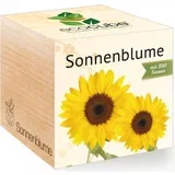 ecocube "Rože" - sončnica
